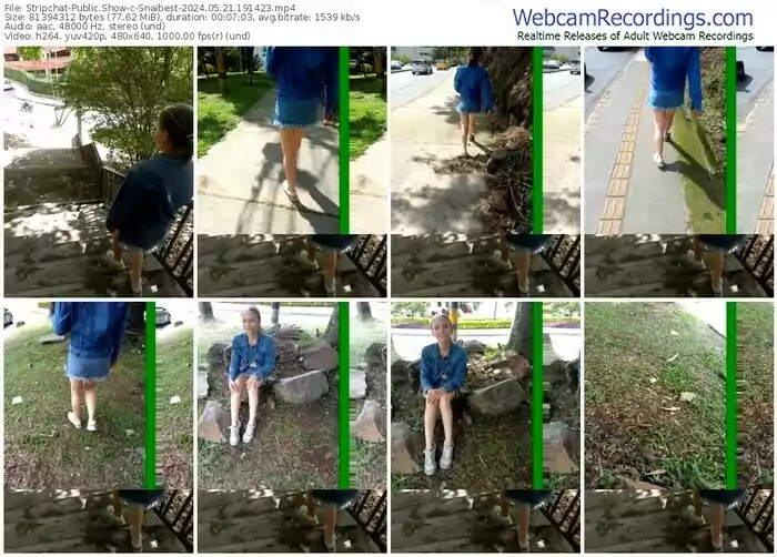 stripchat-snaibest-05-21-2024-19-14-23