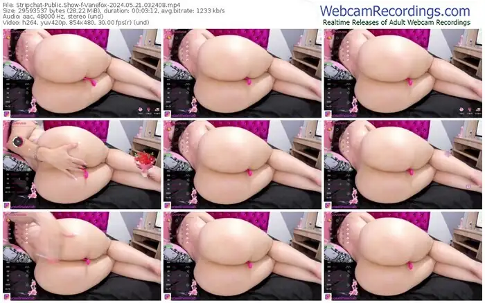 stripchat-vanefox-05-21-2024-03-24-08
