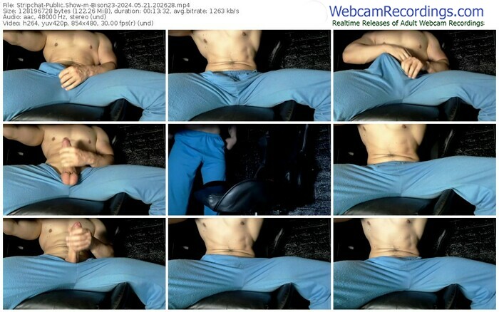 stripchat-bison23-05-21-2024-20-26-28