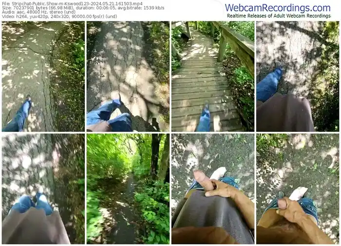 stripchat-kswood123-05-21-2024-16-15-03