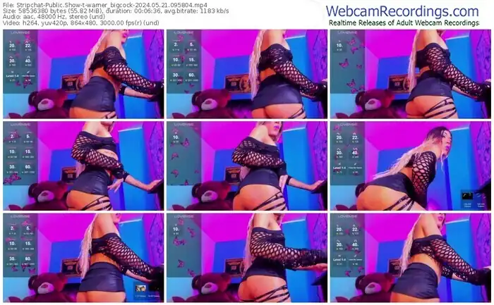 stripchat-warner_bigcock-05-21-2024-09-58-04