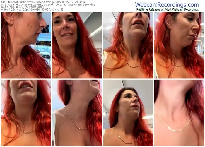 stripchat-black-flamingo-05-22-2024-12-17-38