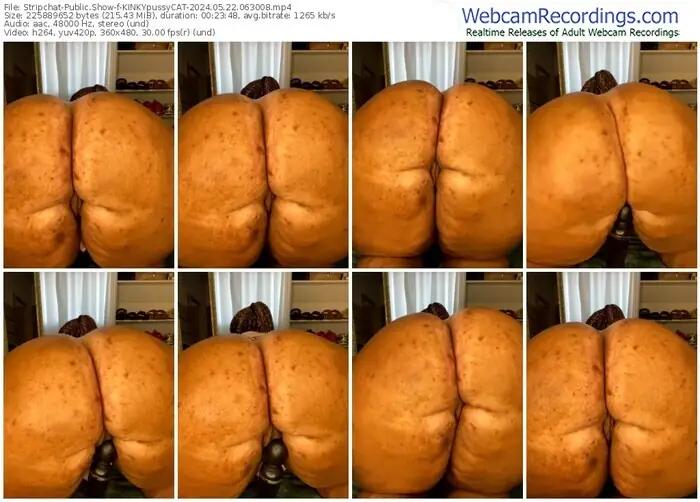 stripchat-kinkypussycat-05-22-2024-06-30-08