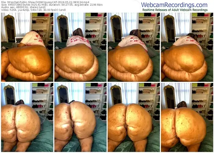 stripchat-kinkypussycat-05-22-2024-08-31-34