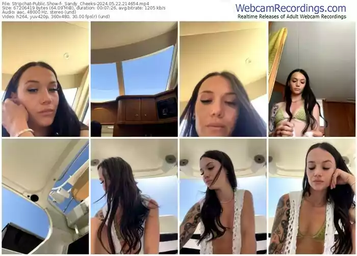 stripchat-_sandy_cheeks-05-22-2024-21-46-54