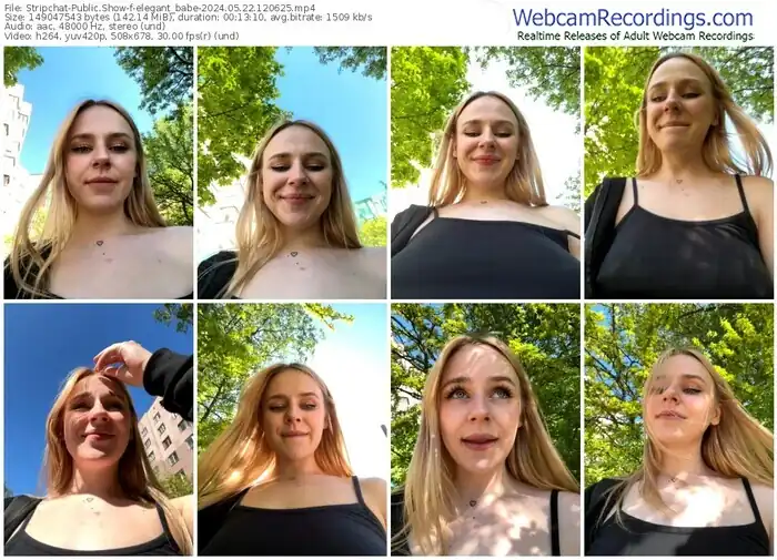 stripchat-elegant_babe-05-22-2024-12-06-25