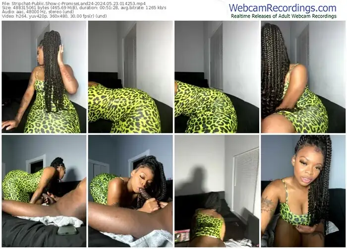 stripchat-promiseland24-05-23-2024-01-42-53