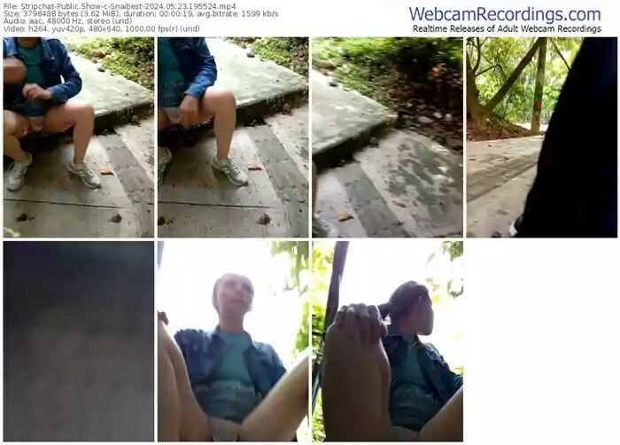 stripchat-snaibest-05-23-2024-19-55-24