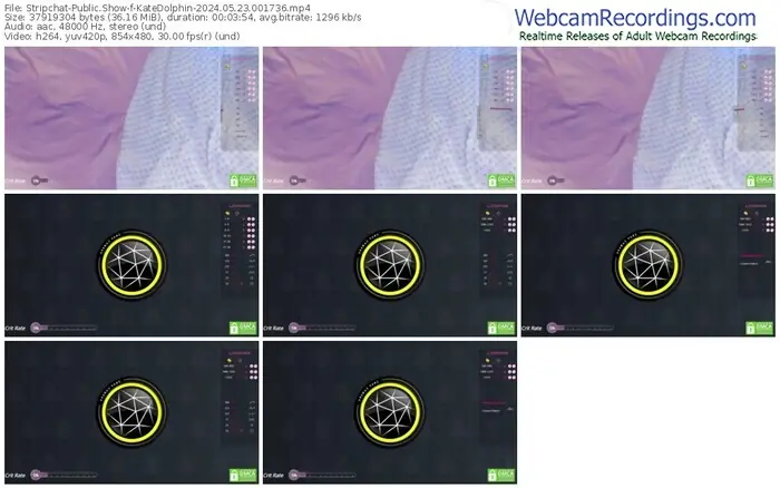 stripchat-katedolphin-05-23-2024-00-17-36