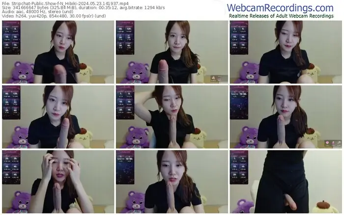 stripchat-n_hibiki-05-23-2024-14-19-37