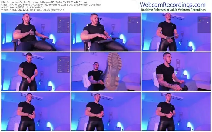 stripchat-nathanwolf1-05-23-2024-21-44-08