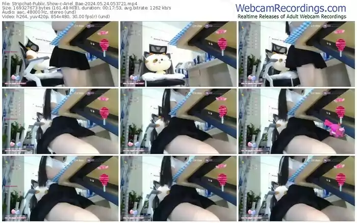 stripchat-ariel_bae-05-24-2024-05-37-21