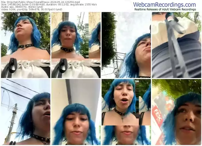 stripchat-gerallfoxxx-05-24-2024-12-02-59