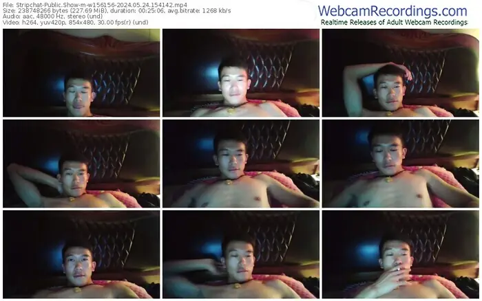 stripchat-w156156-05-24-2024-15-41-42