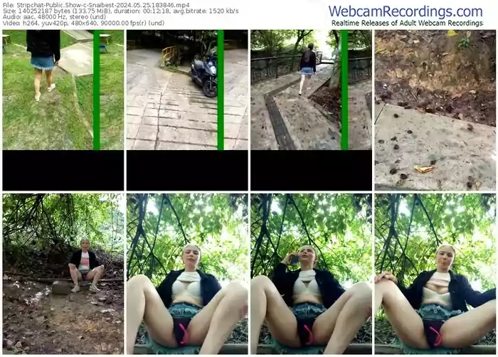 stripchat-snaibest-05-25-2024-18-38-46