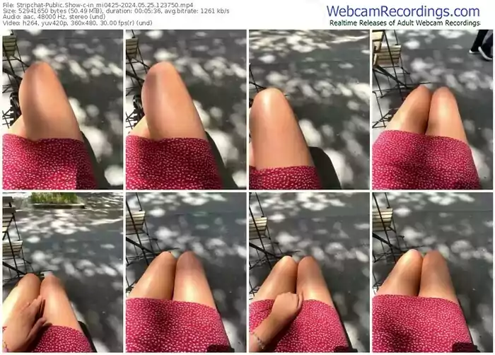 stripchat-in_mi0425-05-25-2024-12-37-50