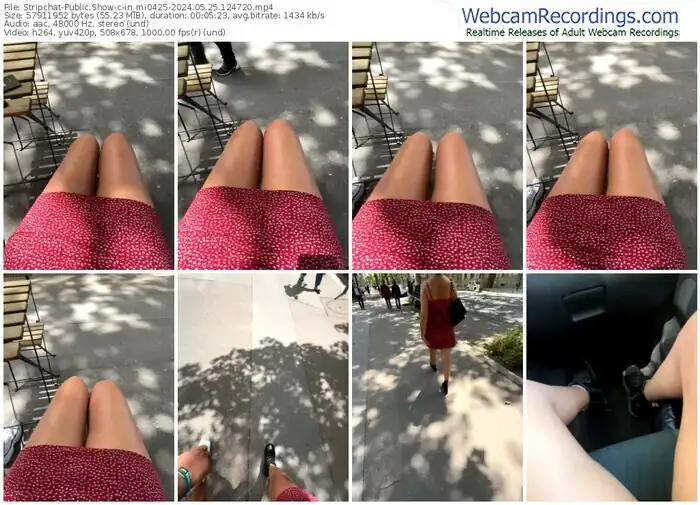 stripchat-in_mi0425-05-25-2024-12-47-20