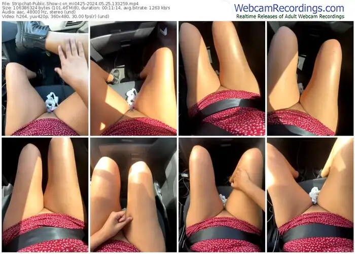 stripchat-in_mi0425-05-25-2024-13-32-59