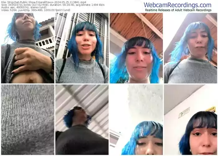 stripchat-gerallfoxxx-05-25-2024-11-38-41
