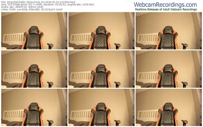 stripchat-mei_tin-05-25-2024-10-23-56