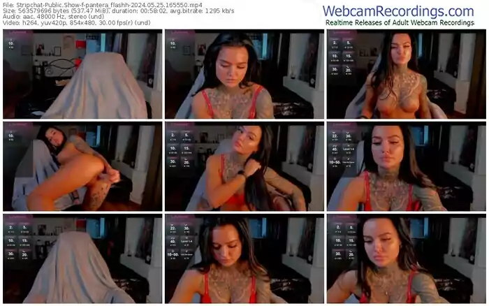 stripchat-pantera_flashh-05-25-2024-16-55-50