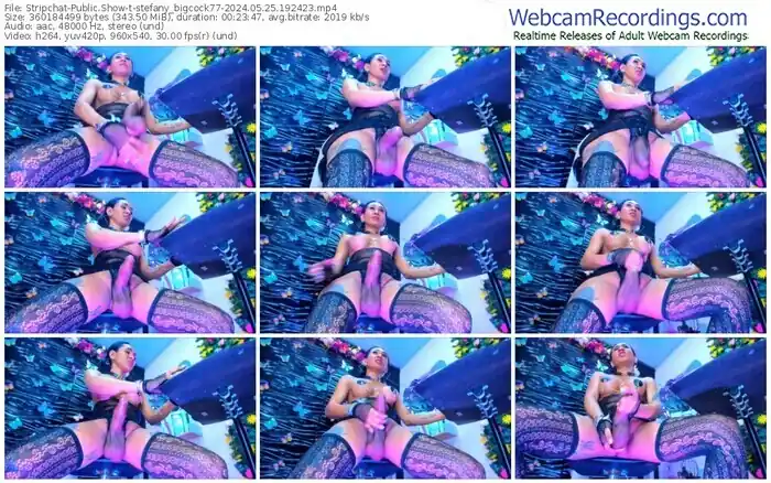 stripchat-stefany_bigcock77-05-25-2024-19-24-23