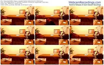 stripchat-hanabi-hentai-05-26-2024-11-39-45