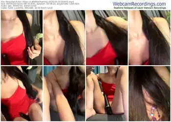 stripchat-lapetitechienne1-05-26-2024-00-44-31