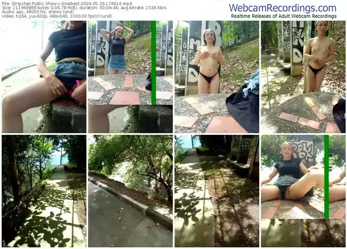 stripchat-snaibest-05-26-2024-17-46-14