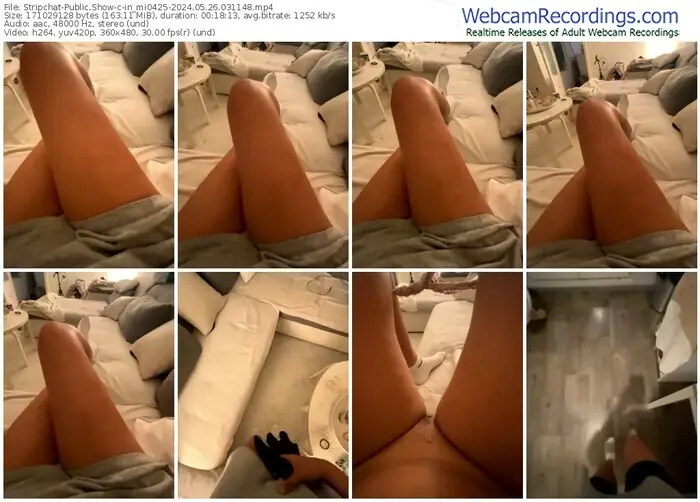 stripchat-in_mi0425-05-26-2024-03-11-48