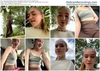 stripchat-aniemiller-05-26-2024-13-44-05