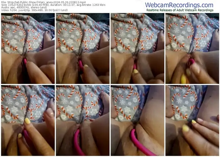 stripchat-mary_anes-05-26-2024-22-08-12