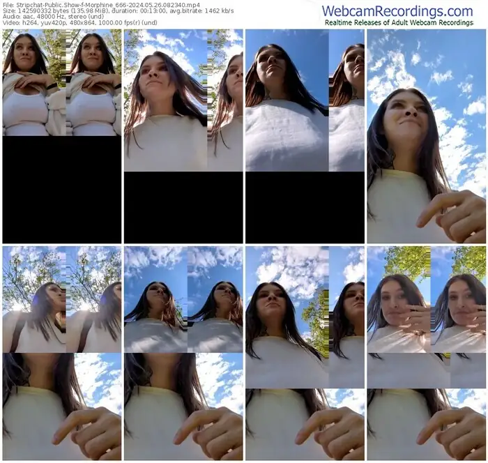 stripchat-morphine_666-05-26-2024-08-23-40