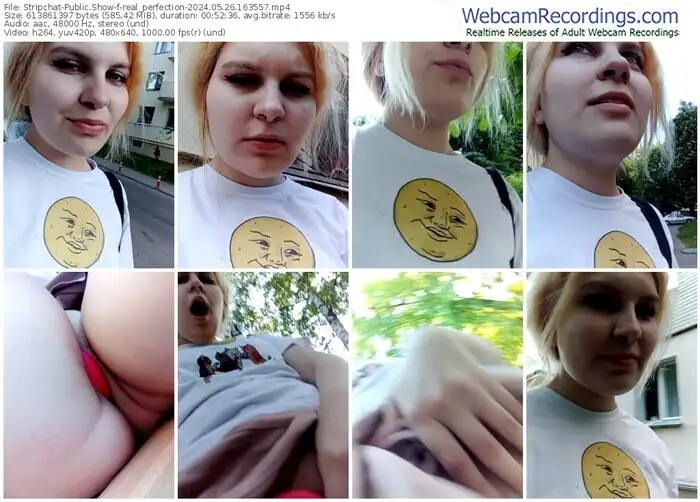 stripchat-real_perfection-05-26-2024-16-35-57