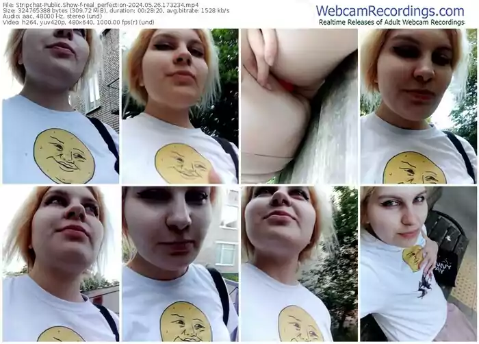 stripchat-real_perfection-05-26-2024-17-32-34