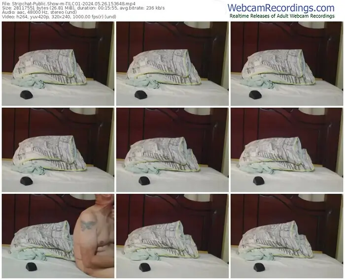 stripchat-tilco1-05-26-2024-15-36-48