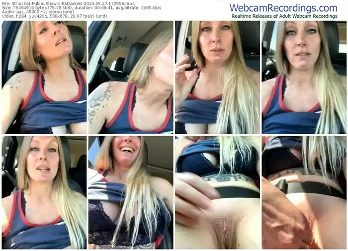 stripchat-itsdannig-05-27-2024-17-25-56