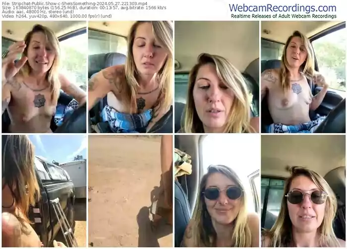 stripchat-sheissomething-05-27-2024-22-13-03