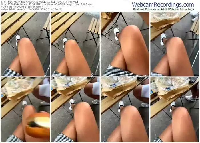 stripchat-in_mi0425-05-27-2024-12-27-38