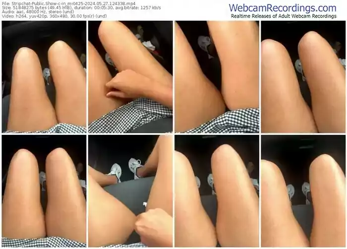 stripchat-in_mi0425-05-27-2024-12-43-38