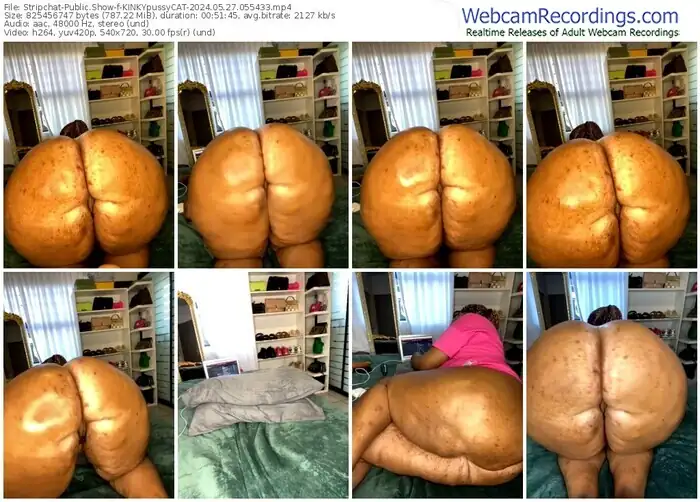 stripchat-kinkypussycat-05-27-2024-05-54-33