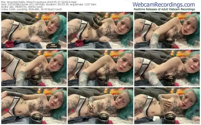 stripchat-coyemoo-05-27-2024-22-20-14