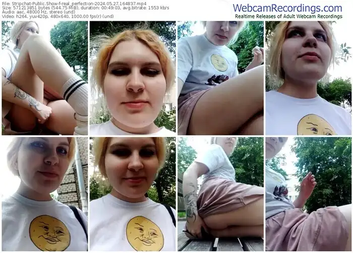 stripchat-real_perfection-05-27-2024-16-48-37