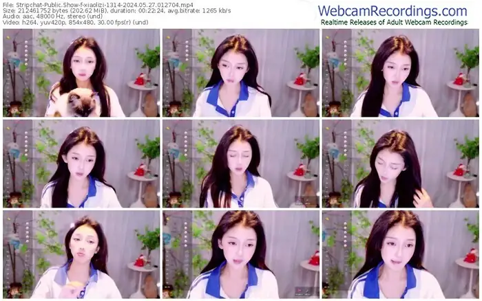 stripchat-xiaolizi-05-27-2024-01-27-04