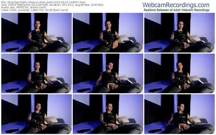 stripchat-aron_dark-05-27-2024-10-36-47
