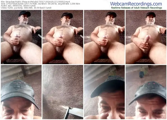 stripchat-peludo173317-05-27-2024-15-03-52