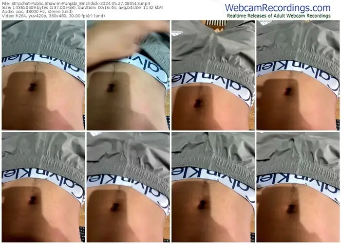 stripchat-punjabi_8inchdick-05-27-2024-08-05-13