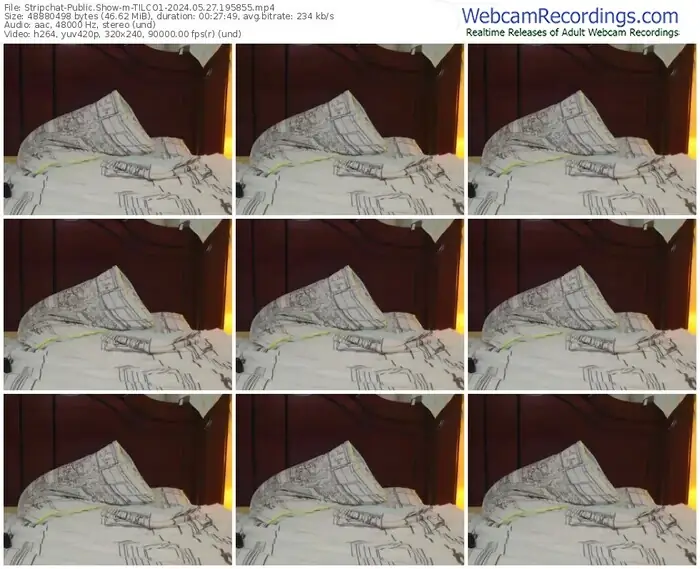 stripchat-tilco1-05-27-2024-19-58-55