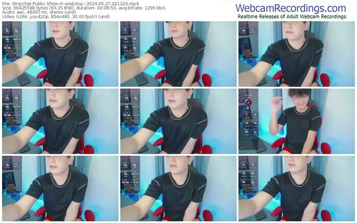 stripchat-andyboy--05-27-2024-02-12-26