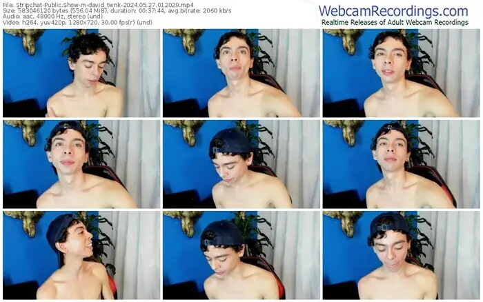 stripchat-david_twnk-05-27-2024-01-20-29